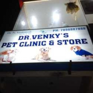 Top pet Clinics in Hyderabad - Pethub